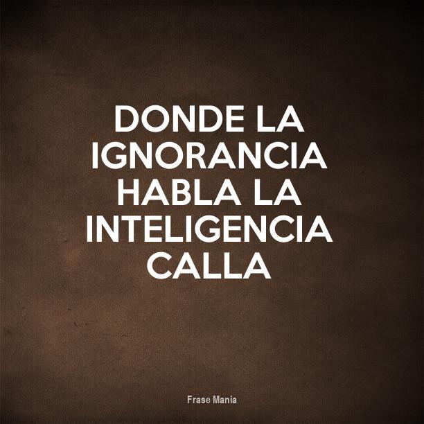 Donde La Ignorancia Habla La Inteligencia Calla