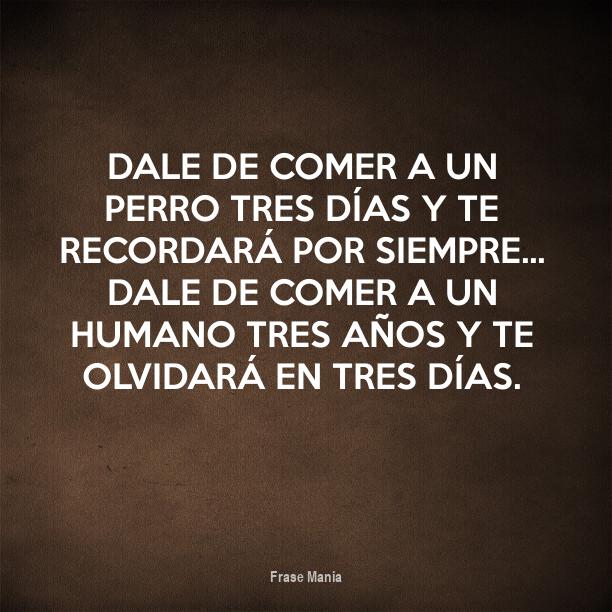 Dale De Comer A Un Perro Tres Dias