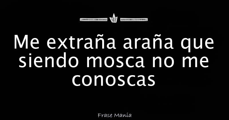 Me extraña araña que siendo mosca no me conoscas
